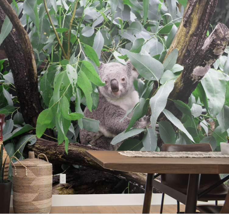 Wall mural animals koala among leaves - TenStickers