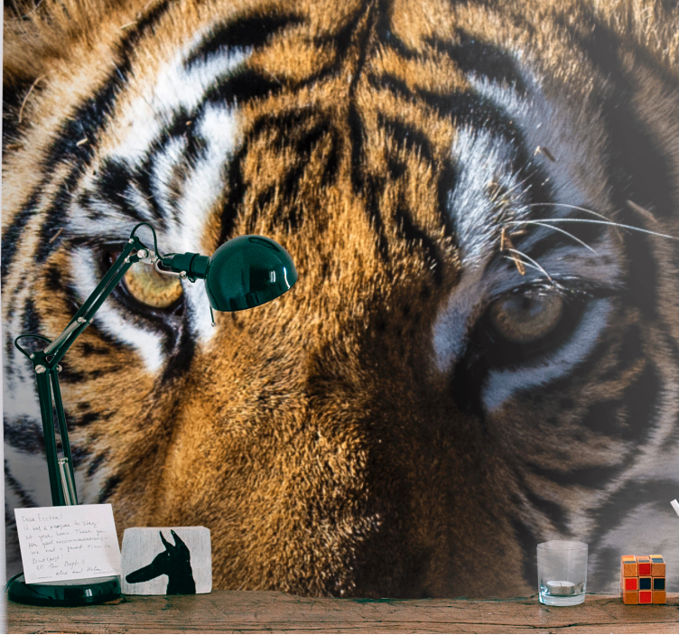 Wall mural animals magnificent tiger close-up - TenStickers