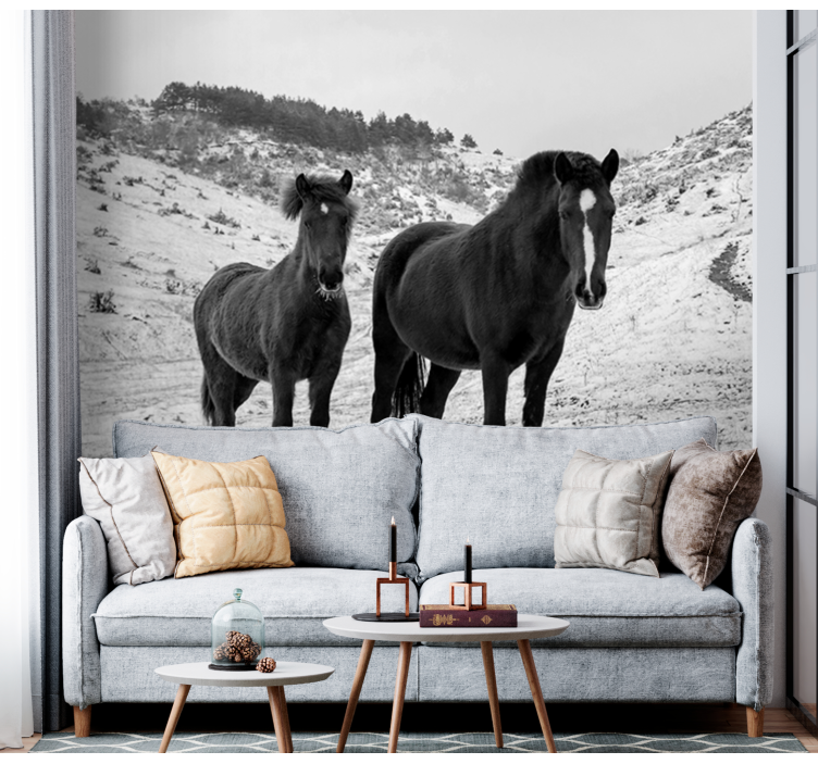 Wall mural animals majestic black horses - TenStickers