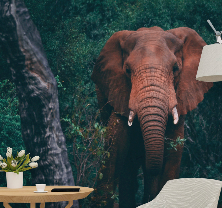 Wall mural animals majestic elephant presence - TenStickers