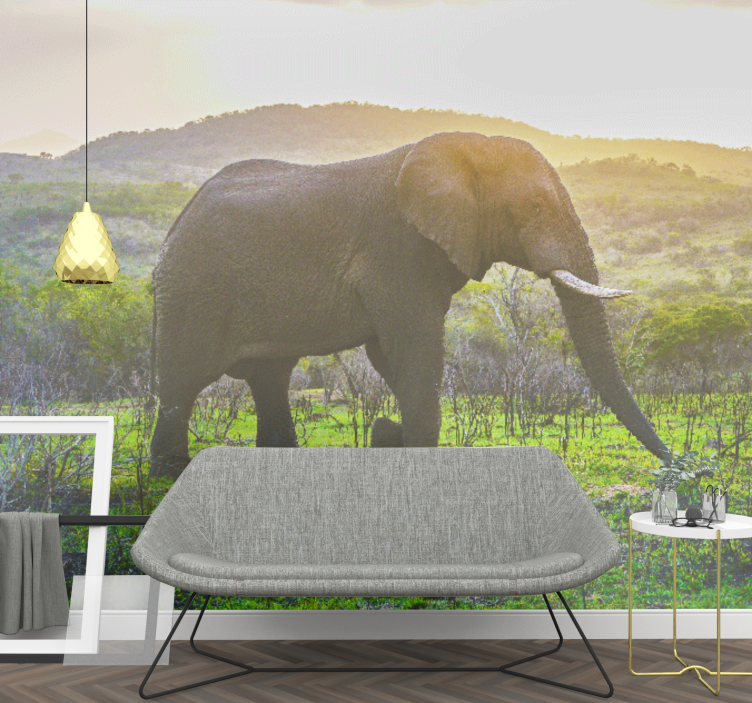 Wall mural animals majestic elephant scene - TenStickers