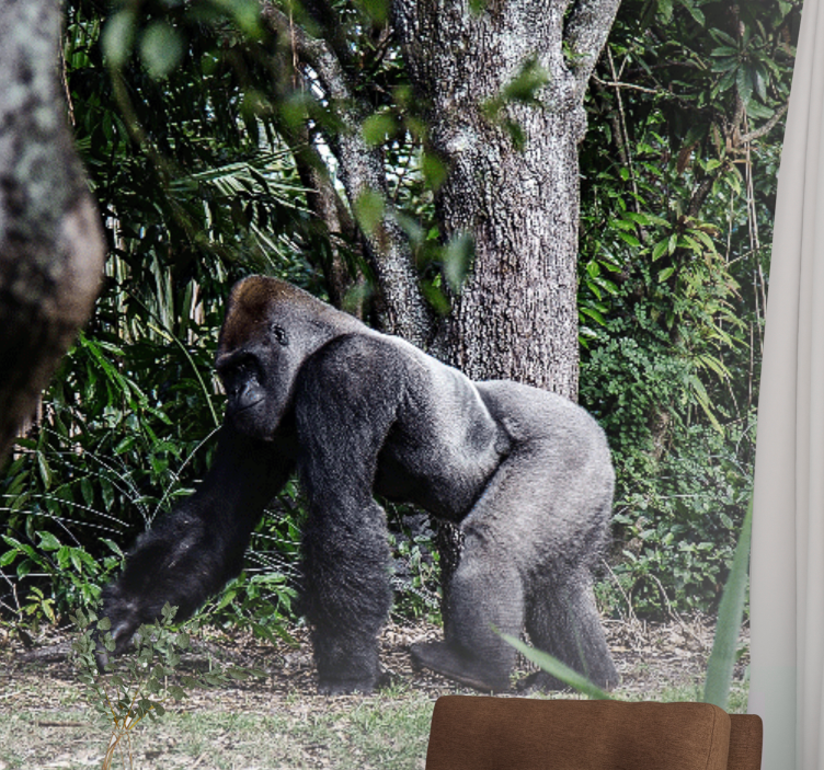 Wall mural animals majestic gorilla strolling - TenStickers