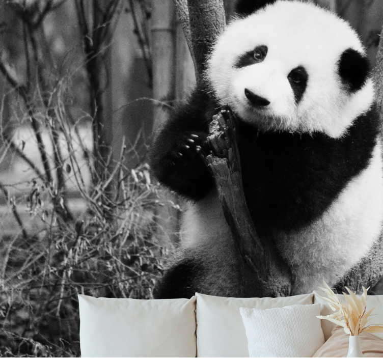 Wall mural animals panda on tree - TenStickers