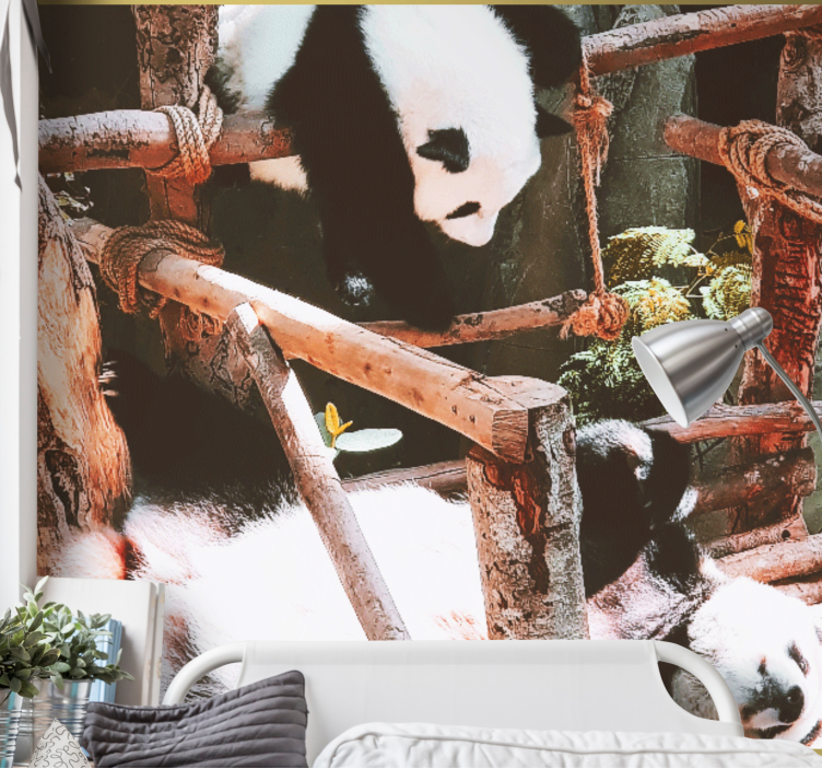 Wall mural animals panda playtime scene - TenStickers