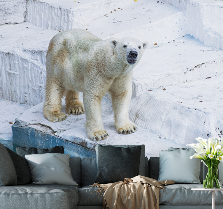 Wall mural animals polar bear pose - TenStickers