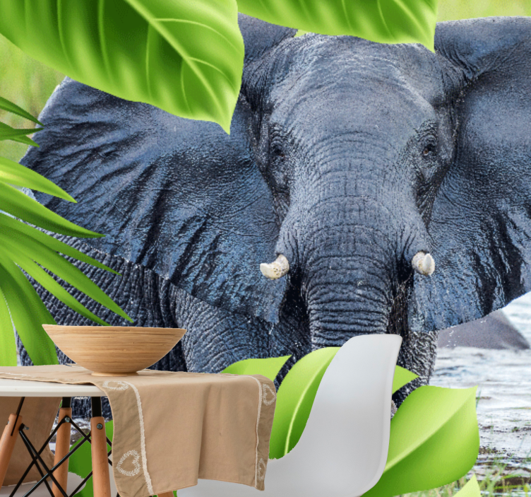 Wall mural animals regal elephant encounter - TenStickers