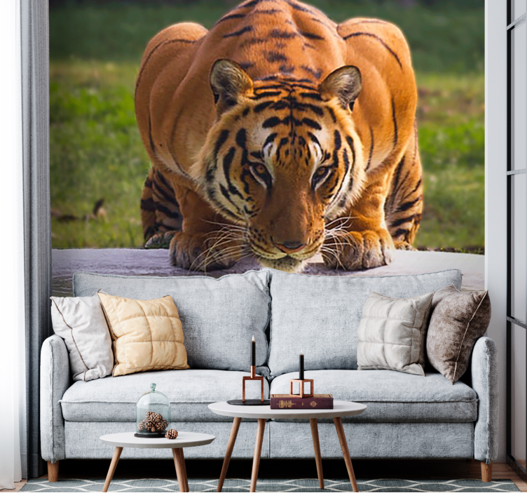 Wall mural animals regal tiger stance - TenStickers