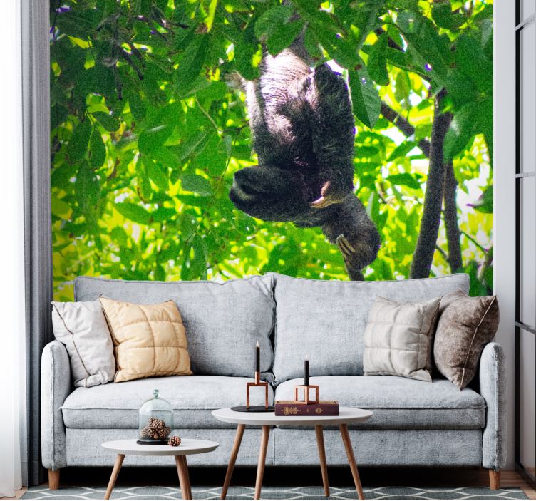 Wall mural animals sloth hanging in greenery - TenStickers