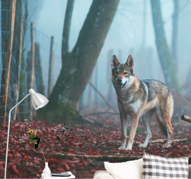 Wall mural animals wolf in misty forest - TenStickers