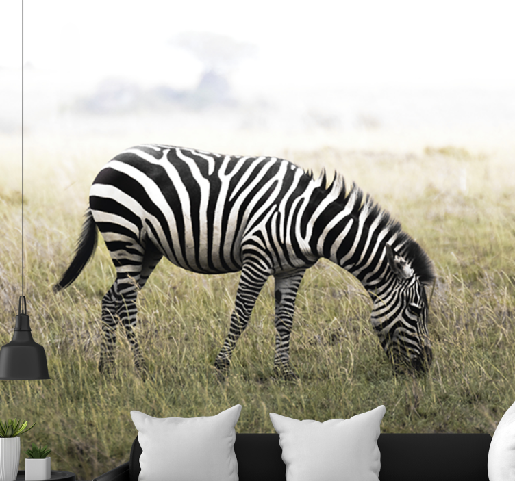 Wall mural animals zebra grazing calmly - TenStickers