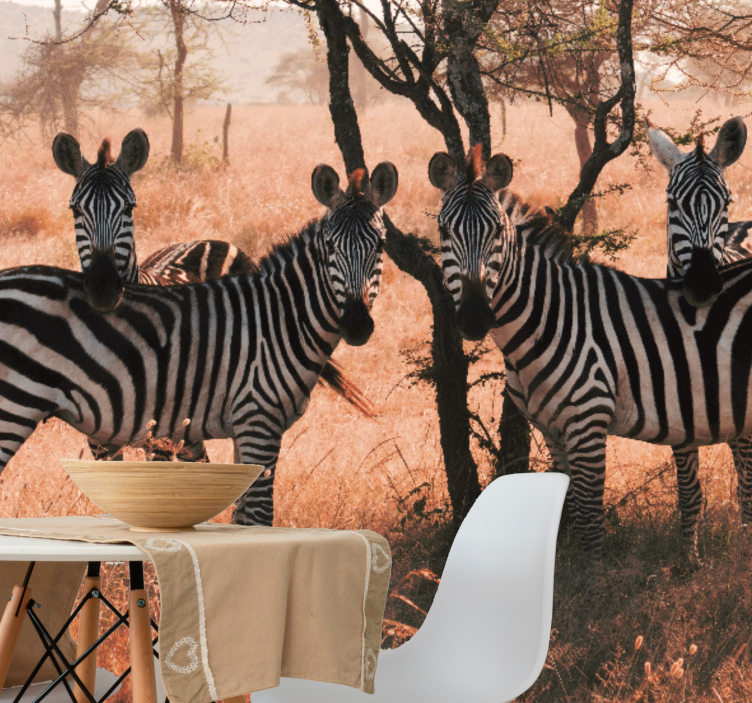 Wall mural animals zebras in nature - TenStickers