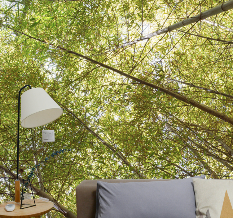 Wall mural bamboo bamboo canopy perspective - TenStickers