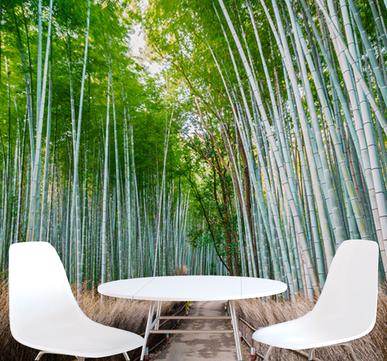 Wall mural bamboo bamboo forest path - TenStickers