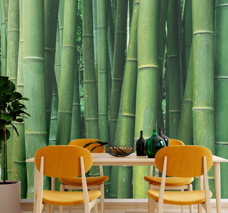 Wall mural bamboo lush forest retreat - TenStickers