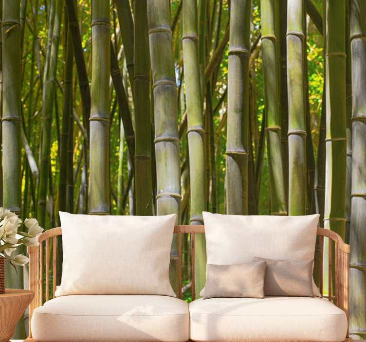 Wall mural bamboo serene bamboo grove - TenStickers