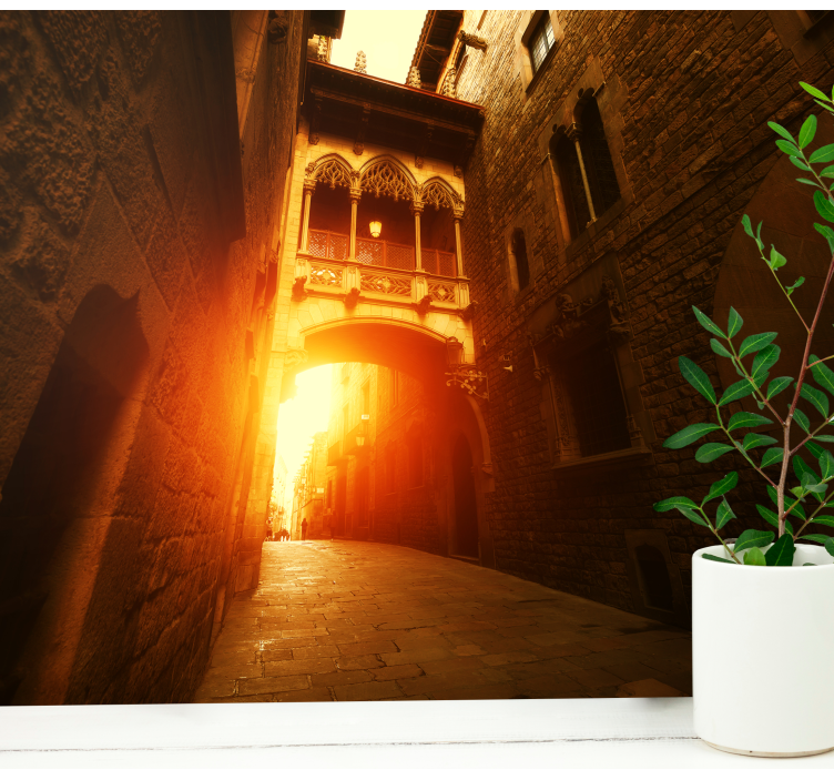 Wall mural barcelona historic gothic archway - TenStickers