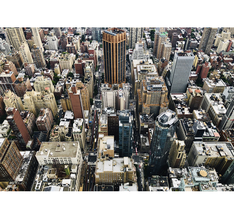 Wall mural city aerial cityscape overview - TenStickers