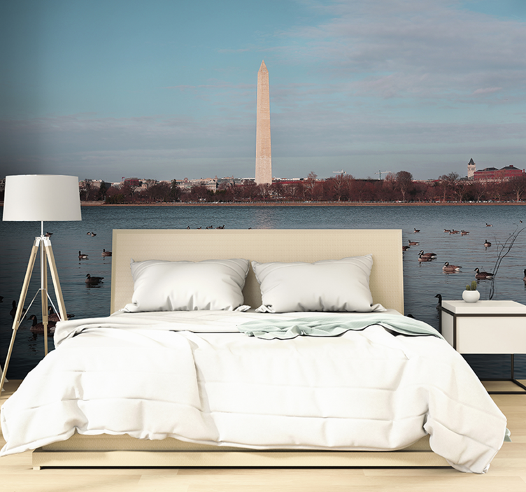 Wall mural city washington monument reflection - TenStickers