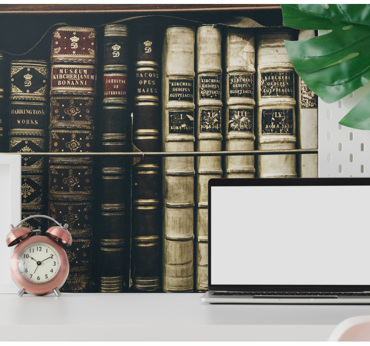 Wall mural classic art antique bookshelf collection - TenStickers