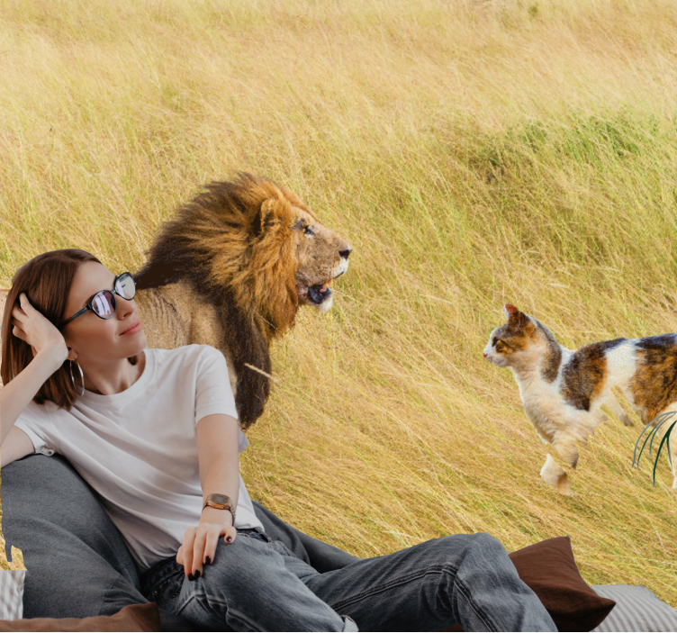 Wall mural lion lion encounter with cat - TenStickers