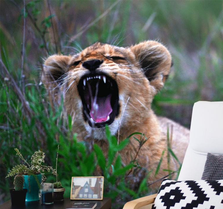 Wall mural lion roaring lion cub - TenStickers