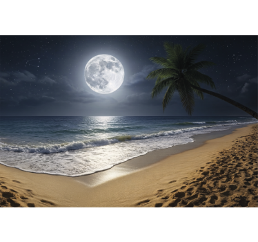 Sea wall mural full moon ocean mural - TenStickers