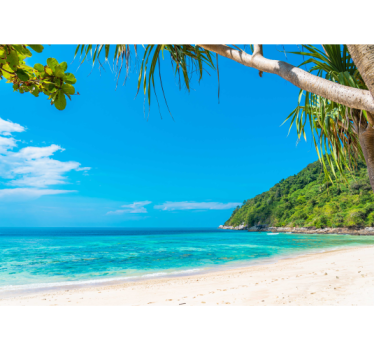 Tropical Coastal Landscape sea wall mural - TenStickers