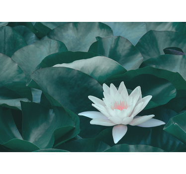 Zen white lotus flower mural wallpaper - TenStickers