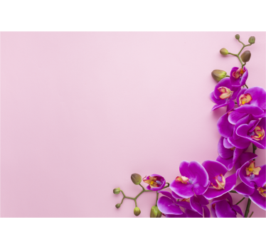 Pink background with Orchid mural - TenStickers
