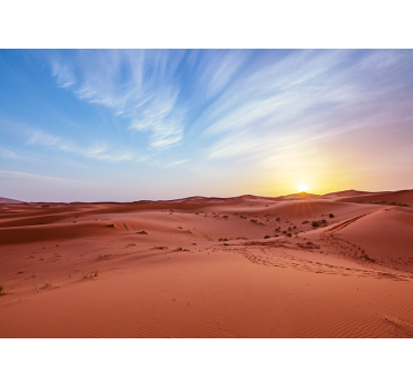 Desert in front of a sunrise mural wallpaper - TenStickers