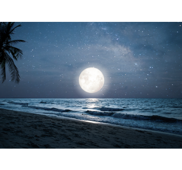 Beautiful moonlight over ocean full moon night sky wall mural - TenStickers