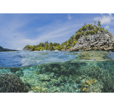 Underwater profile landscape wall mural - TenStickers