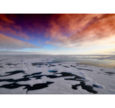 Arctic Ocean Vista landscape wall mural - TenStickers