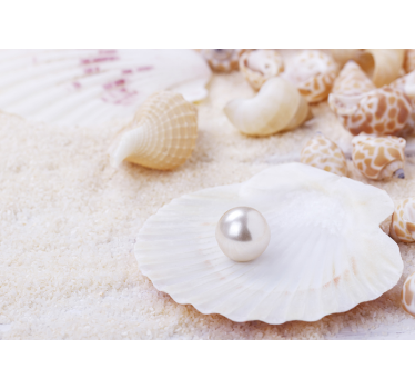 Shell and pearl landscape wall mural - TenStickers