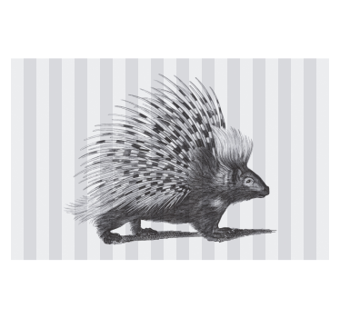 Porcupine art black and white Wall Murals for Bedrooms - TenStickers