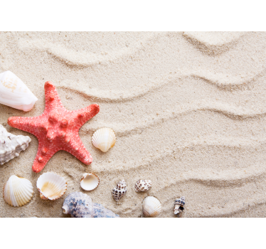 Starfish and Shells sea wall mural - TenStickers