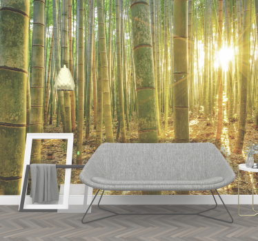Bamboo forest in sunlight zen photo wallpaper - TenStickers