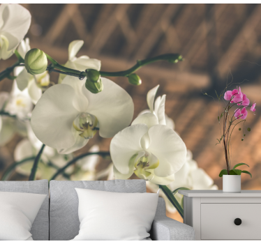 Orchid wall mural elegant orchid blossoms - TenStickers