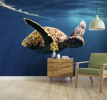 Turtle underwater mural wallpaper - TenStickers