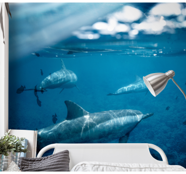Underwater Dolphin Encounter sea wall mural - TenStickers