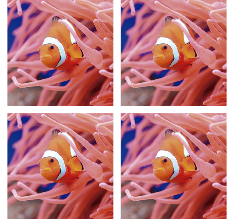 Modern coasters clownfish underwater scene - TenStickers