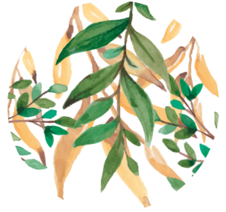 Leafy green botanical beer mats - TenStickers