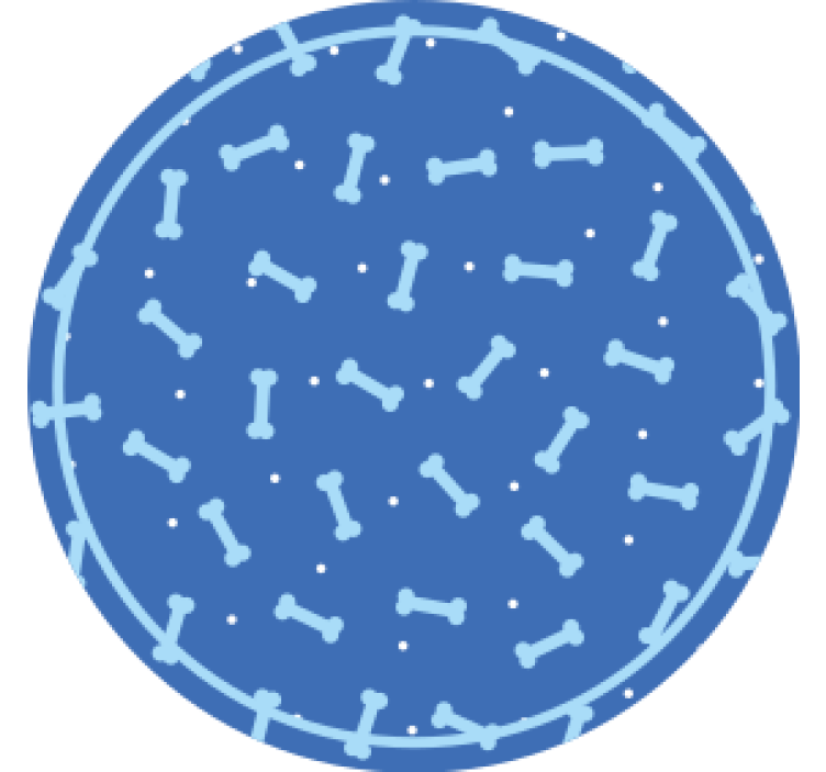 Texture coaster bone pattern circle - TenStickers