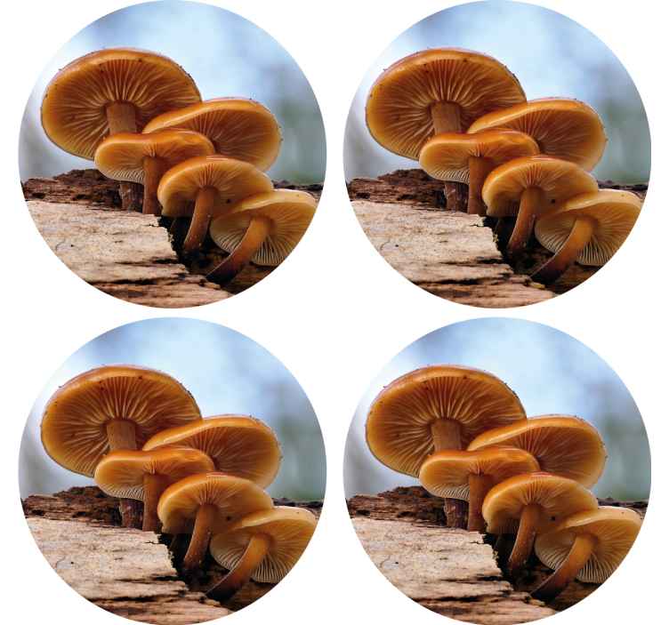 Modern coasters mushroom cluster design - TenStickers