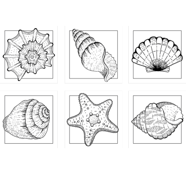 Texture coaster with detailed shell designs - TenStickers