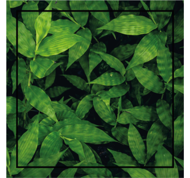 Texture coaster lush green leaf design - TenStickers