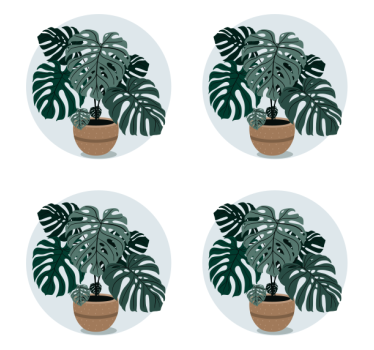 Modern coasters monstera plant design - TenStickers