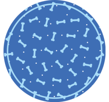Texture coaster bone pattern circle - TenStickers
