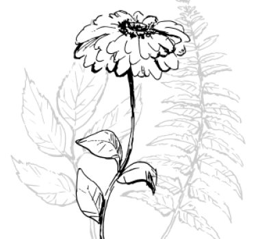 Texture coaster botanical line art design - TenStickers