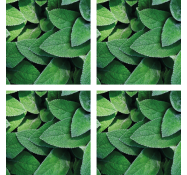 Texture coaster with lively green leaf design - TenStickers